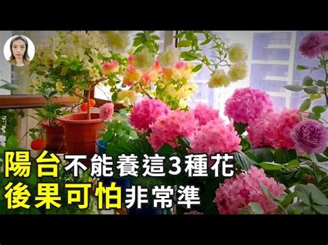 後陽台種花風水